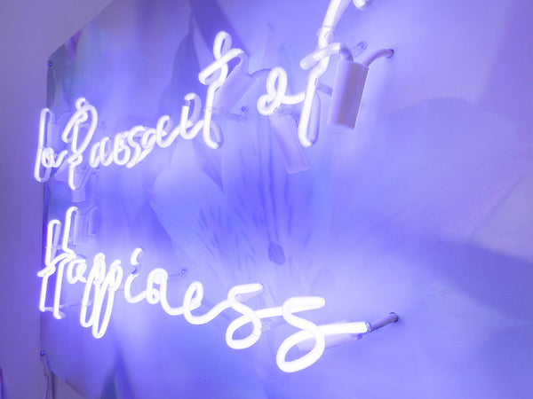 Indira Cesarine "In Pursuit of Happiness"