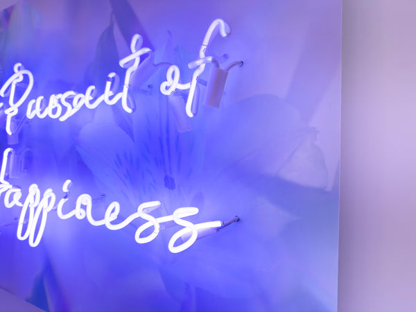 Indira Cesarine "In Pursuit of Happiness"