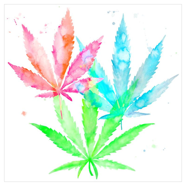 Fahren Feingold "RGB CBD" SILK SCARF Limited Edition