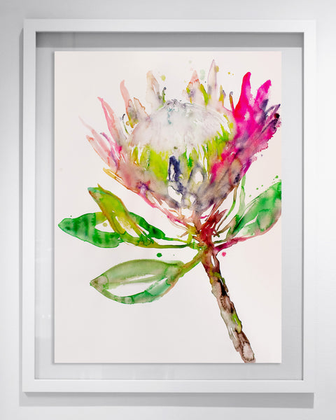 Fahren Feingold "FLEUR D'LUNE"