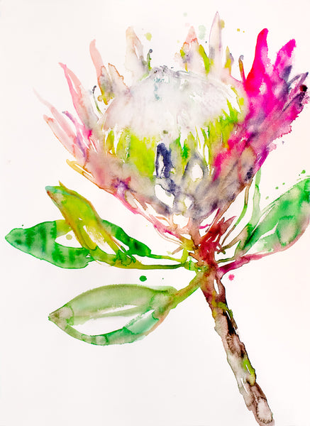 Fahren Feingold "FLEUR D'LUNE"