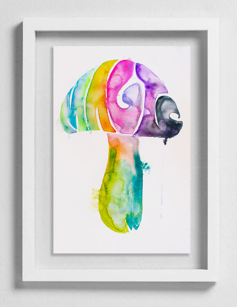 Fahren Feingold "MAGIC MUSHROOM"