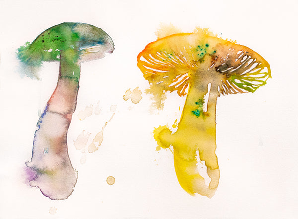 Fahren Feingold "MY GARDEN IS SECRET"