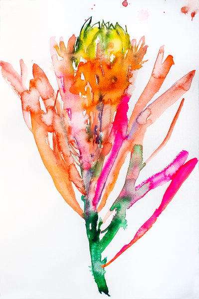 Fahren Feingold "PRIMADONNA"