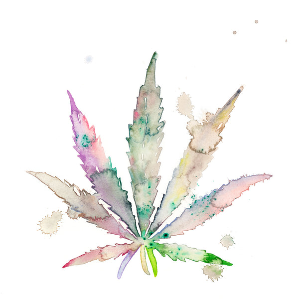 Fahren Feingold "PRINCESS POT LEAF"