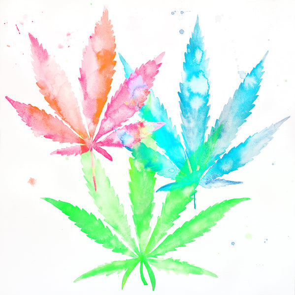 Fahren Feingold "RGB CBD"