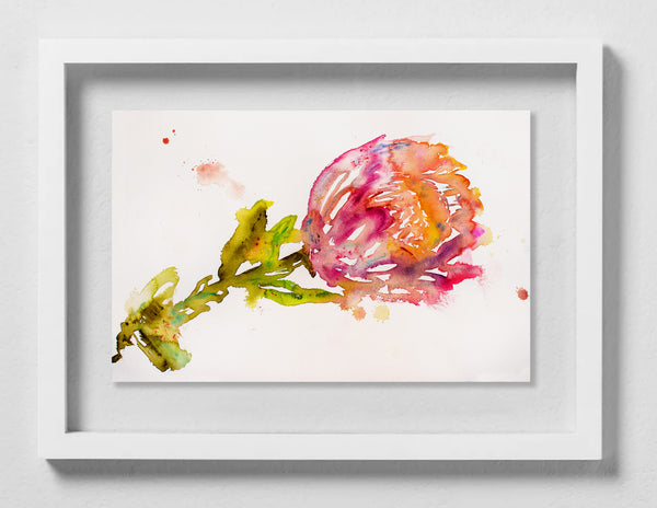 Fahren Feingold "SCANDALOUS ELIXIR"