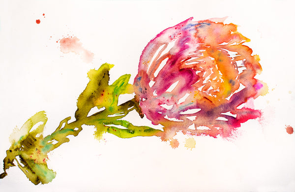 Fahren Feingold "SCANDALOUS ELIXIR"