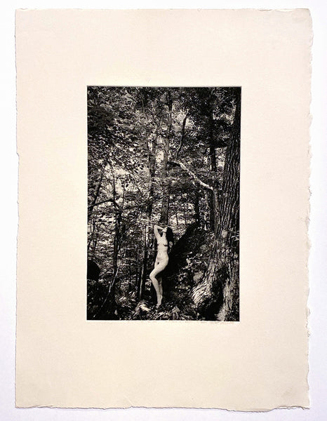 Indira Cesarine "Eve in the Trees" Photogravure Limited Edition