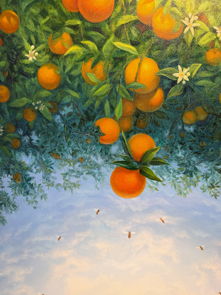 Alonsa Guevara "Low Hanging Oranges"
