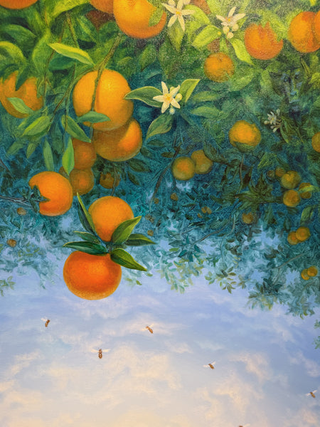 Alonsa Guevara "Low Hanging Oranges"