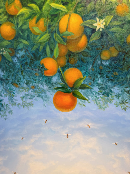 Alonsa Guevara "Low Hanging Oranges"