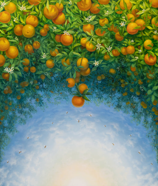 Alonsa Guevara "Low Hanging Oranges"