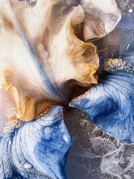 Heather Monks "Flash Frozen"