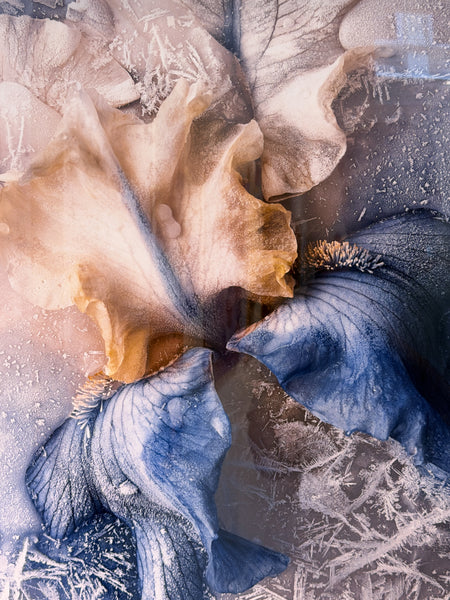 Heather Monks "Flash Frozen"