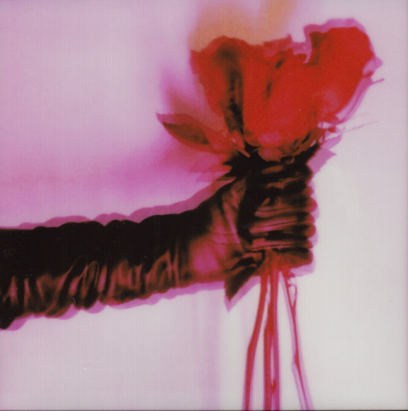 Helena Calmfors "Valentine" polaroid (framed)