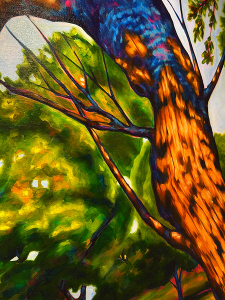 Tabitha Whitley "BlueJay"