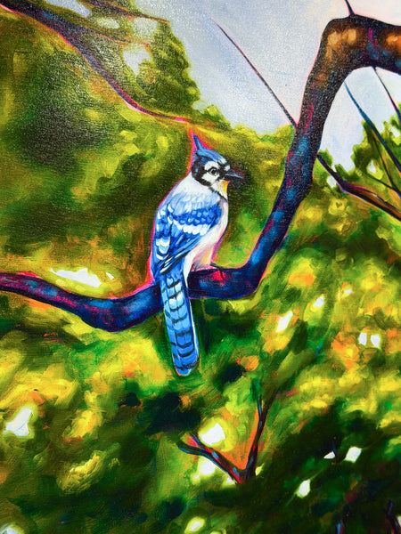 Tabitha Whitley "BlueJay"