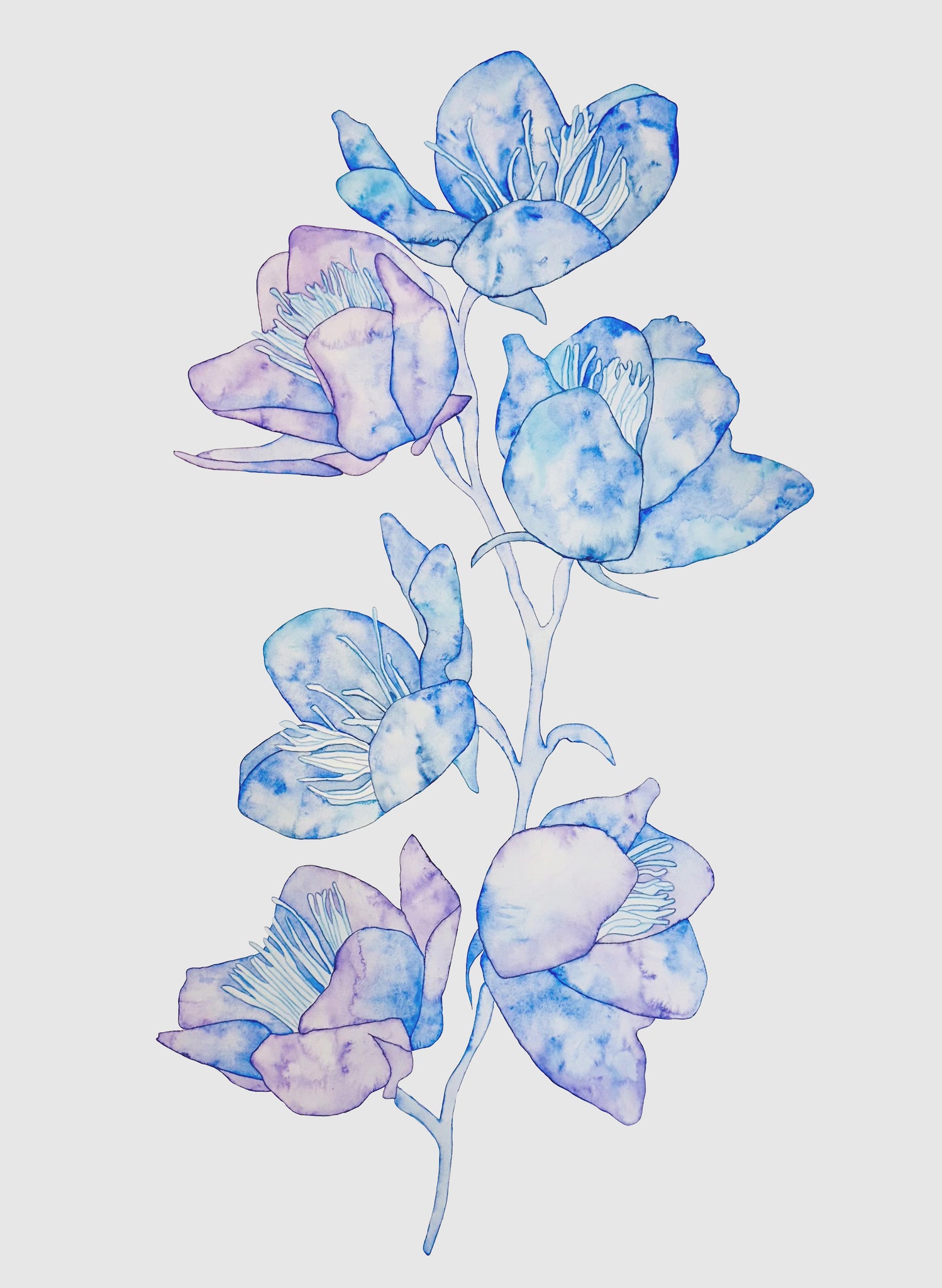 Helena Calmfors "Blue Flowers" Watercolor Painting (Framed)