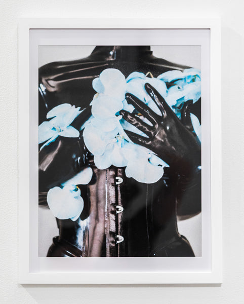 Helena Calmfors "Blue Orchid" Photography (Framed)