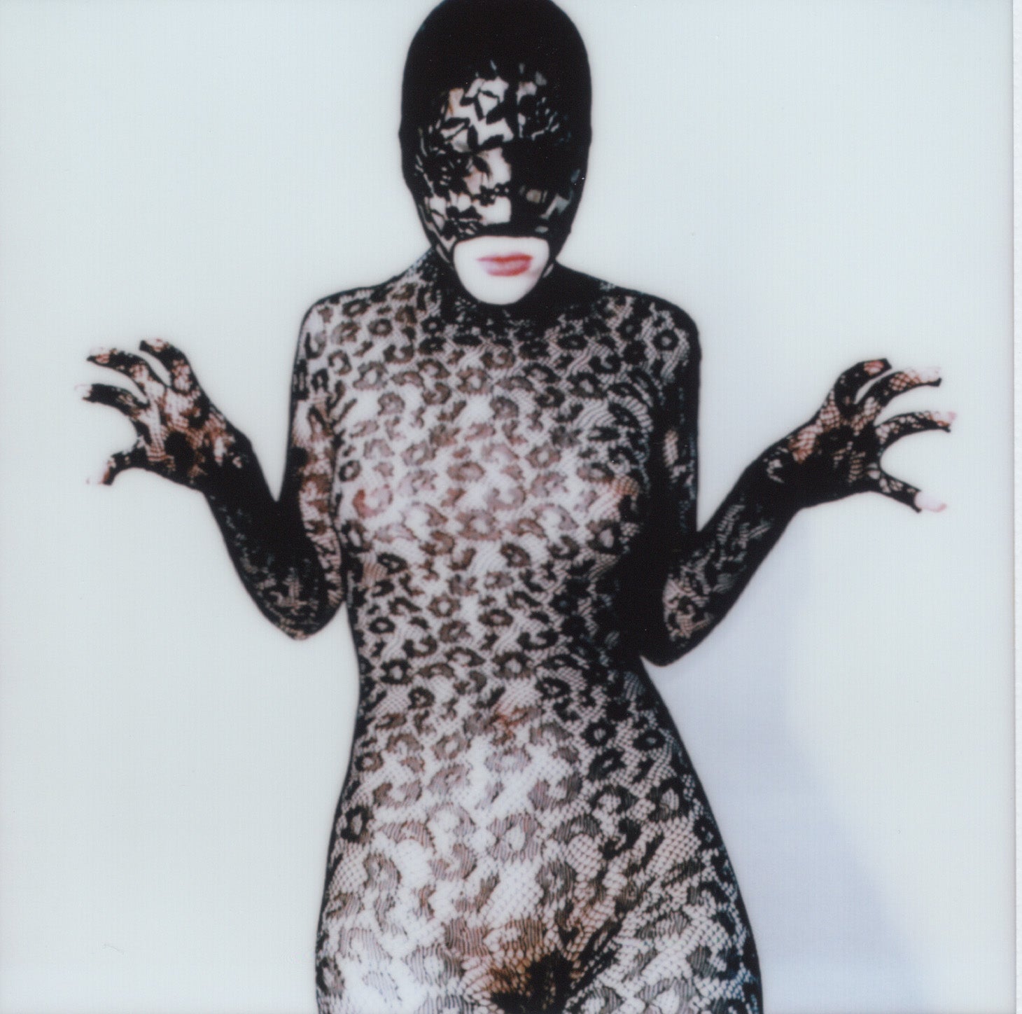 Helena Calmfors "Claws II" polaroid (framed)