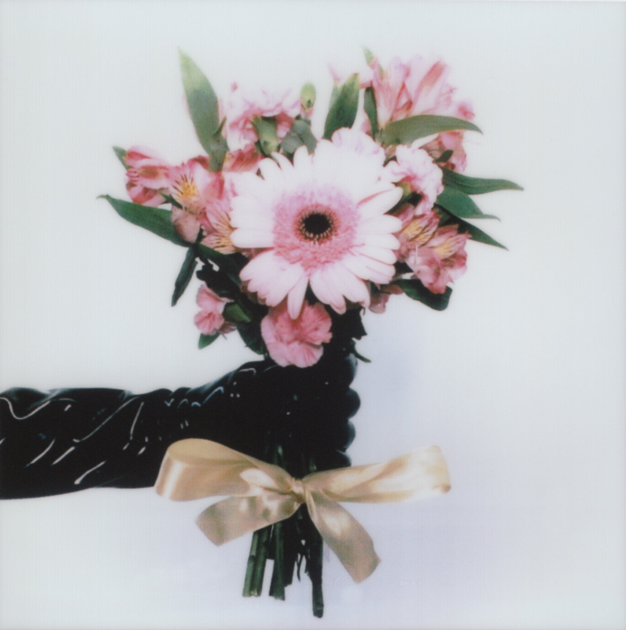 Helena Calmfors "Flowers From July" polaroid (framed)