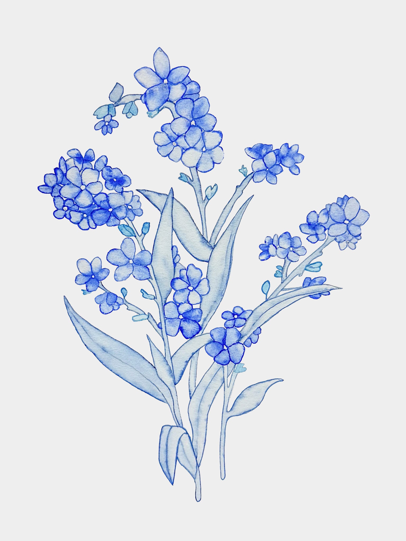 Helena Calmfors "Forget Me Nots" Watercolor Painting (Framed)