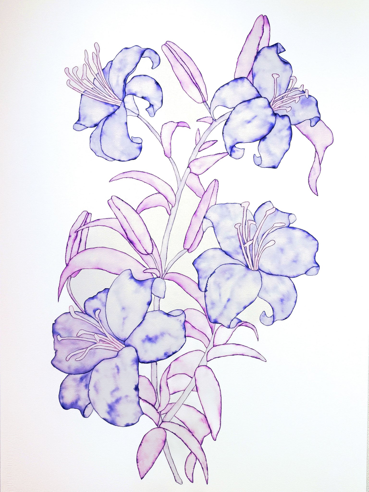Helena Calmfors "Large Lillies Purple" Watercolor Painting (Mounted on Wood Panel)