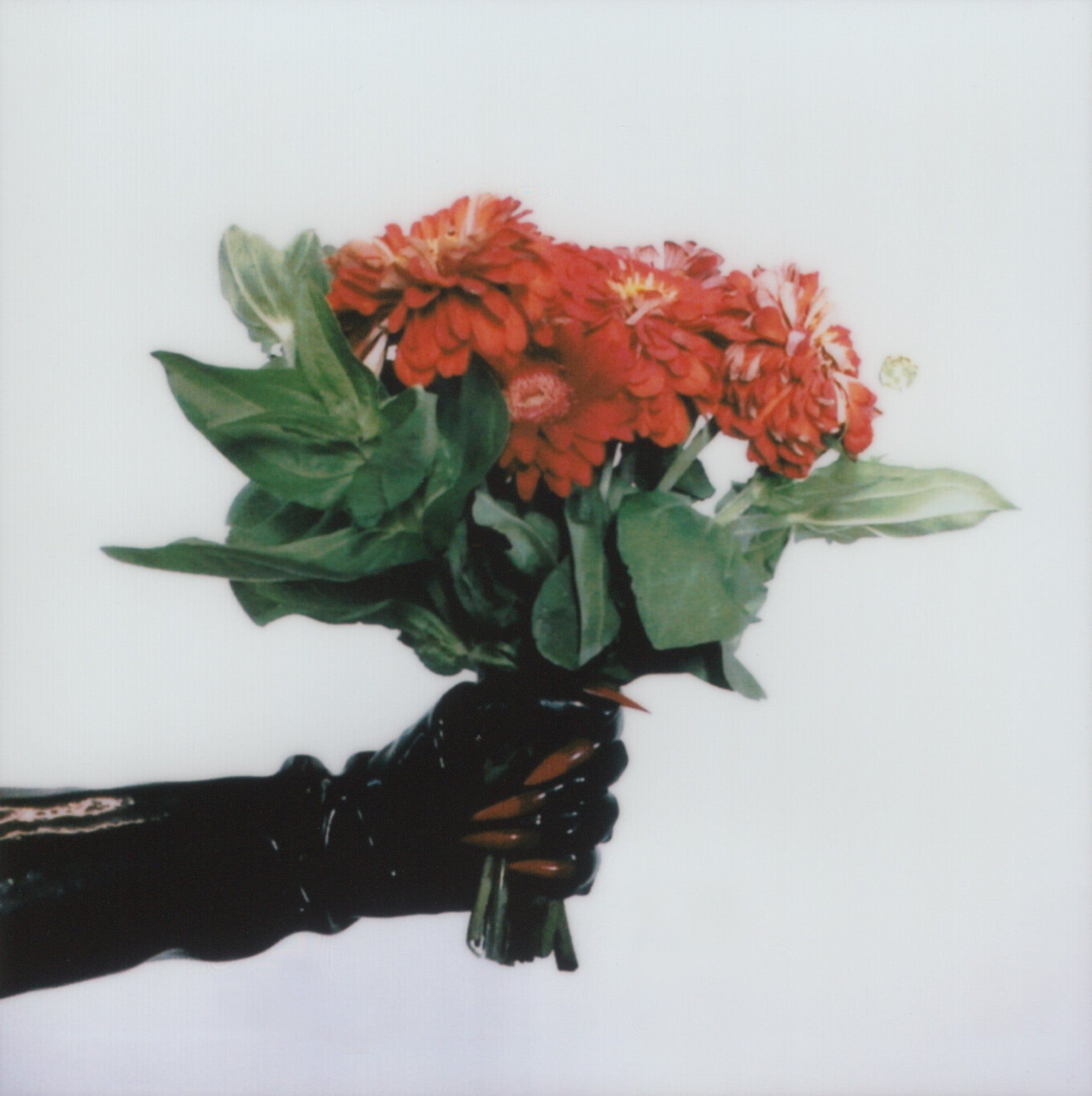 Helena Calmfors "Red Bouquet II" polaroid (framed)