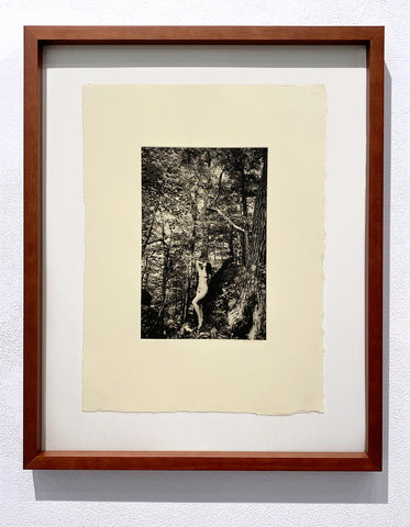 Indira Cesarine "Eve in the Trees" Photogravure Limited Edition
