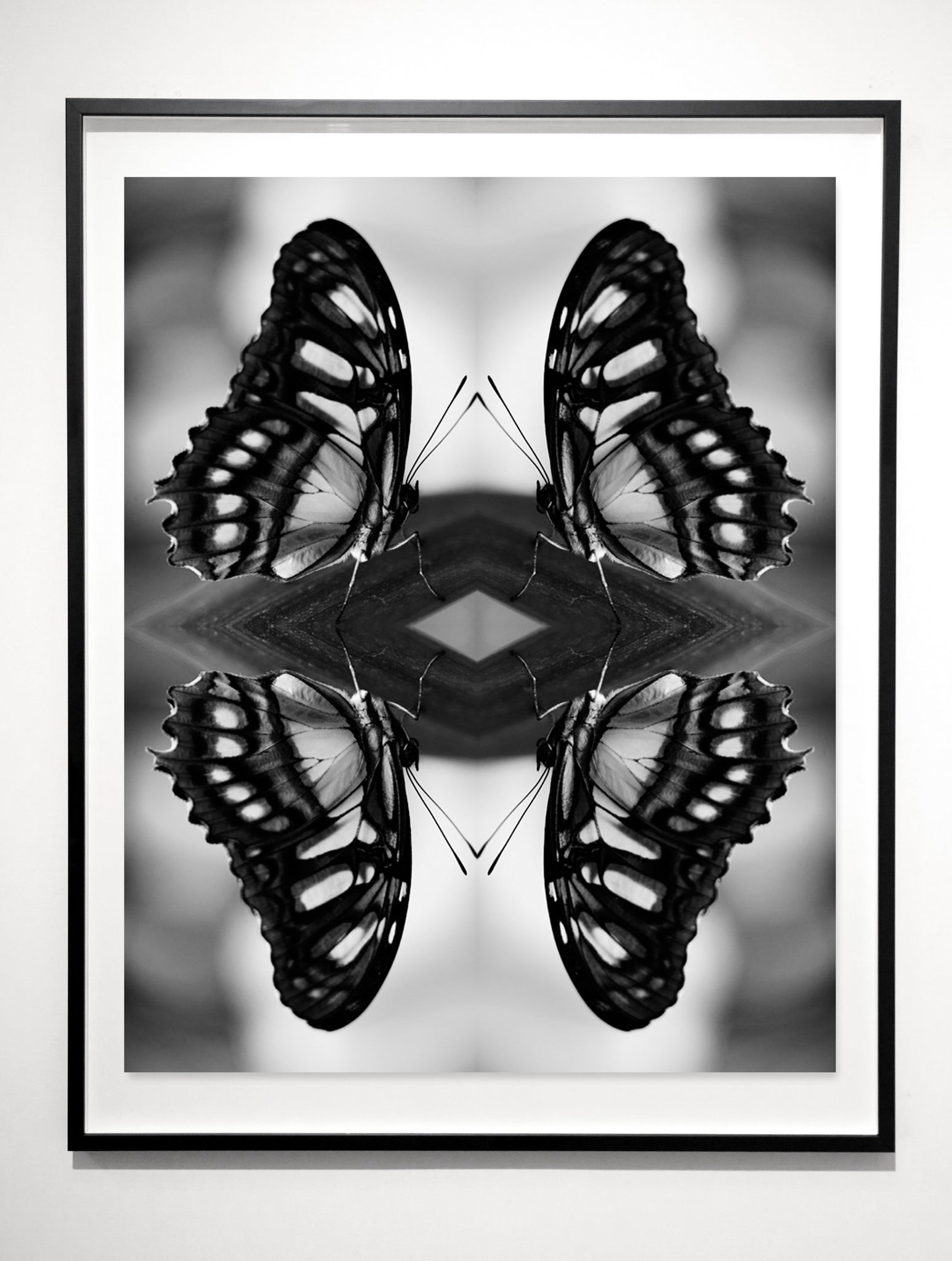 Indira Cesarine "Papiliones No 8" Limited Edition
