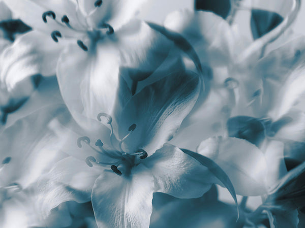 Indira Cesarine "Cascade of Blue Lilies"