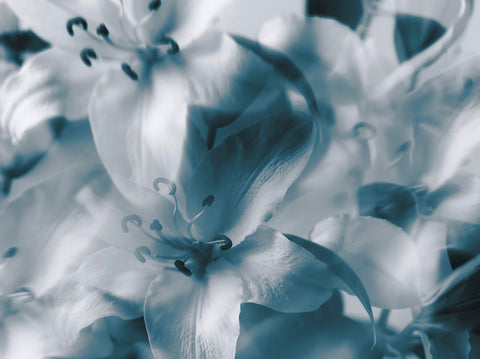 Indira Cesarine "Cascade of Blue Lilies" Limited Edition