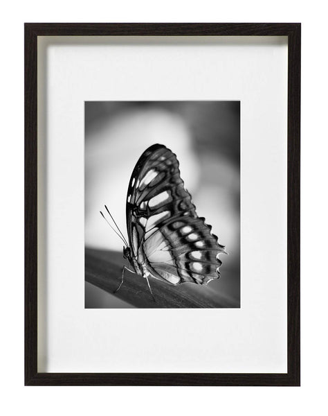 Indira Cesarine "Self Portrait as a Butterfly No 2" Limited Edition