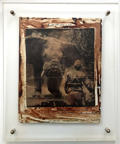 Peter Beard "But Past Who Can Recall Or Done Undo' Paradise Lost"