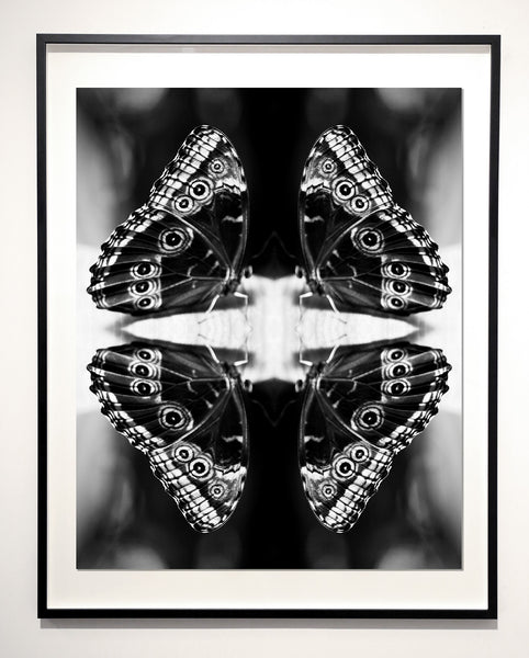 Indira Cesarine "Papiliones No 4" Limited Edition