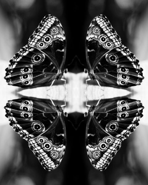 Indira Cesarine "Papiliones No 4" Limited Edition
