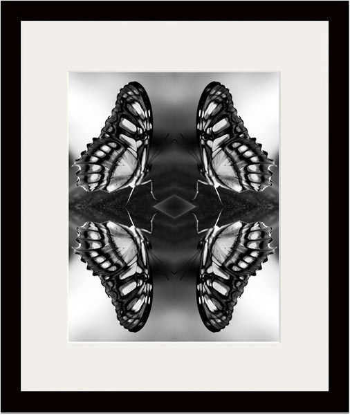 Indira Cesarine "Papiliones No 5" Limited Edition