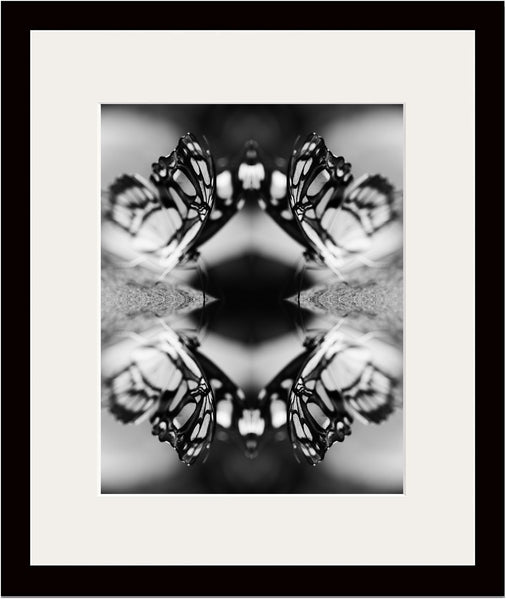 Indira Cesarine "Papiliones No 6" Limited Edition