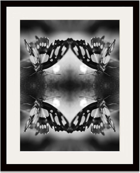 Indira Cesarine "Papiliones No 7" Limited Edition