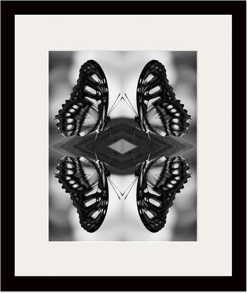 Indira Cesarine "Papiliones No 8" Limited Edition