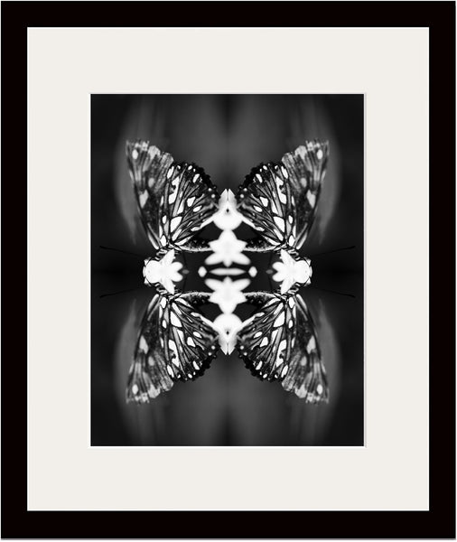 Indira Cesarine "Papiliones No 9" Limited Edition