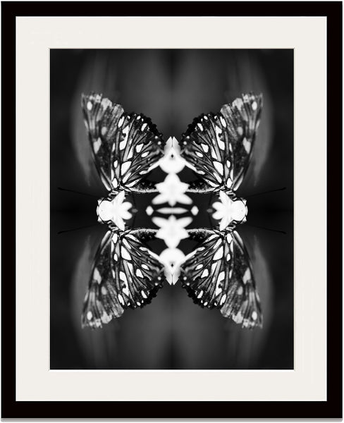Indira Cesarine "Papiliones No 9" Limited Edition